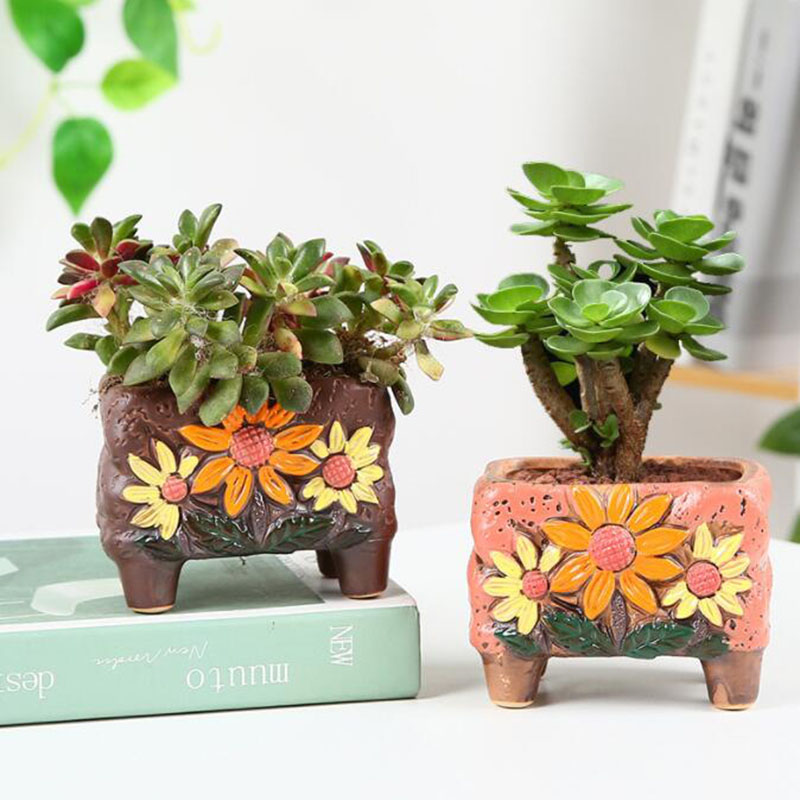 Korean Style Succulent Plant P - Korean Desk Setup review and price
