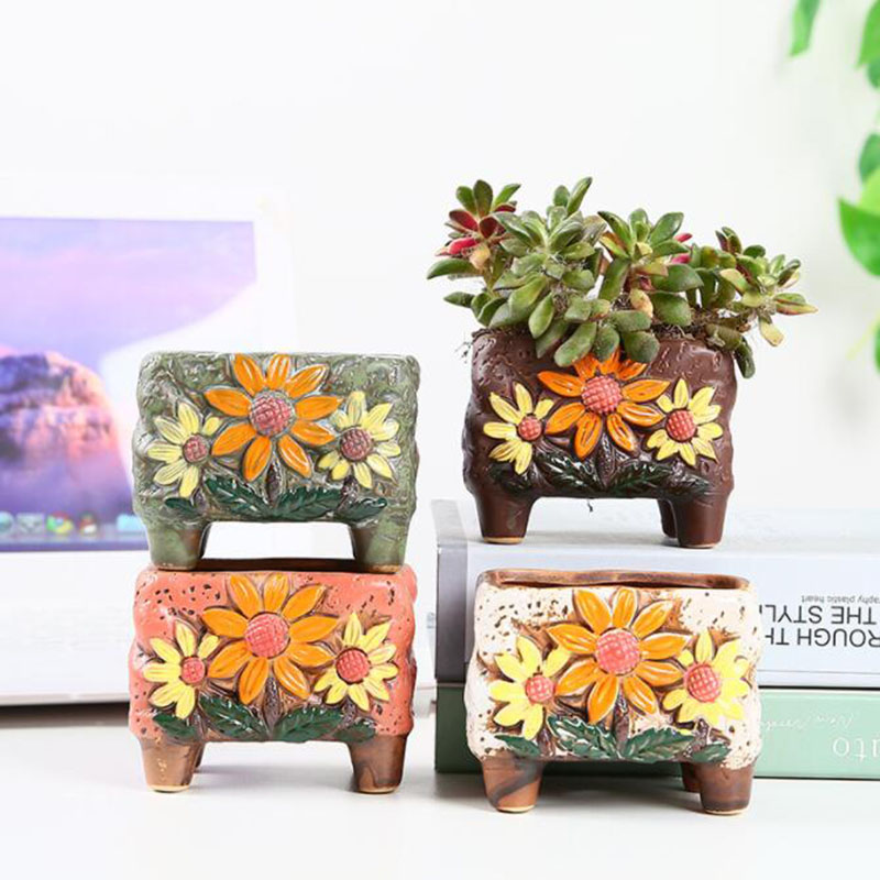 Korean Style Succulent Plant P - Korean Desk Setup review and price